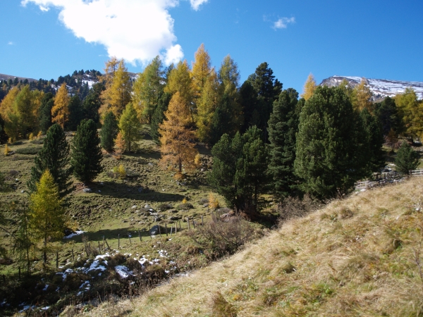 Vorschau Herbst