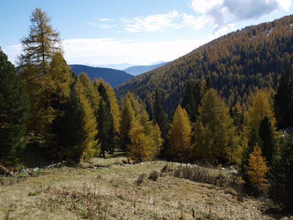 Vorschau Blick ins Tal